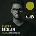 cover: Mirco Caruso - Want You