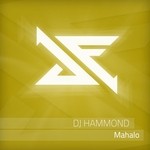 cover: Dj Hammond - Mahalo