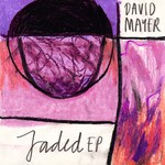 cover: David Mayer - Jaded