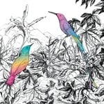 cover: A Vision Of Panorama - Two Birds