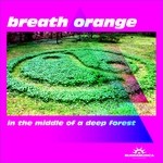 cover: Breath Orange - In THe Middle Of A Deep Forest