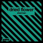 cover: Dried Flower - Sherman