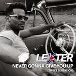 cover: Lexter - Never Gonna Give You Up