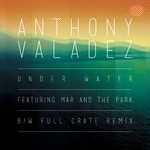 cover: Anthony Valadez - Under Water