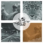 cover: Corey Biggs - Cheetah Appeal