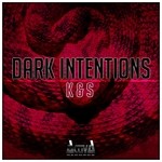 cover: Dark Intentions - K & S