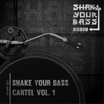 cover: D-code|Divided|Koznik & Khavy|Mr Quiet & Sym-on|Q-vi - Shake Your Bass Cartel Vol 1