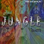 cover: The Palmer Dj - Jungle