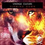 cover: Vintage Culture - Slowing Down