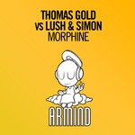 cover: Thomas Gold|Lush & Simon - Morphine