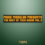 cover: Brandon Ramirez|Dave M Sanchez|Sollors|Emilove - Moog Modular Presents The Best Of Tech House Vol 2