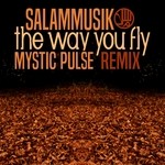 cover: Salammusik - The Way You Fly