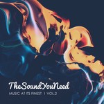 cover: Various - TheSoundYouNeed Vol 2 (unmixed Tracks)