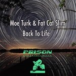 cover: Fat Cat Slim|Moe Turk - Back To Life