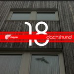 cover: Dachshund - When Echo Post EP