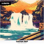 cover: Castor Troy - Fluid Friction EP