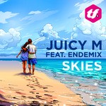 cover: Juicy M|Endemix - Skies