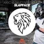 cover: Axxo & David Newsound - Slapface