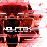 cover: Wolftek - Among The Mountains