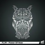 cover: Flim - Power Of Now