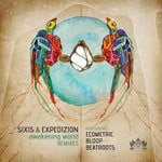 cover: Expedizion|Sixis - Awakening World (Remixes)