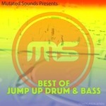 cover: Various - Best Of Jump Up Drum & Bass: Compilation Series