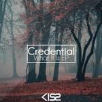 cover: Credential - What It Is