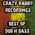 cover: Various - Crazy Rabbit Recordings Best Of Dub & Bass Music