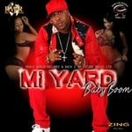 cover: Babyboom - Mi Yard