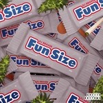 cover: Dj Braver - Fun Size