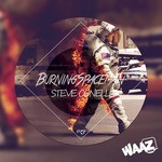 cover: Steve Conelli - Burning Spaceman