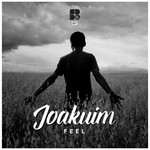 cover: Joakuim - Feel