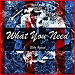 cover: Behr $quad - What You Need