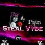 cover: Steal Vybe - Joy & Pain