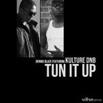 cover: Dennis Blaze - Tun It Up