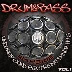 cover: Rk|Various - Drum & Bass Wayside Underground Electronic Dance Hits Vol 1