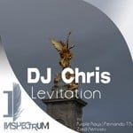 cover: Dj Chris|Fernando Tr|Purple Rays|Zied - Levitation