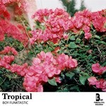 cover: Boy Funktastic - Tropical