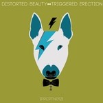 cover: Distorted Beauty - Triggered Erection