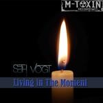 cover: Seth Vogt - Living In The Moment