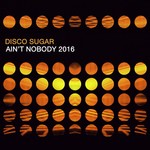 cover: Disco Sugar - Ain't Nobody 2016