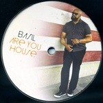 cover: Basil - Are You House