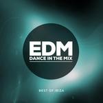 cover: Various - EDM Dance In The Mix (unmixed tracks)