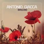 cover: Antonio Giacca - Birdland