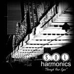 cover: Sol Harmonics - Through Your Eyes