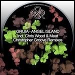 cover: Gruia - Angel Island