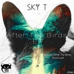 cover: Sky T - After The Birds EP