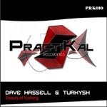 cover: Dave Hassell|Turkysh - Beauty Of Nothing