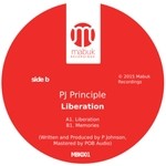 cover: Pj Principle - Liberation