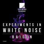 cover: Raiden - Experiments In White Noise